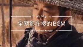 娱乐吃瓜博主用的bgm,揭秘博主热门背景音乐背后的故事  第3张