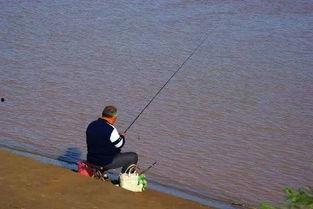 娱乐吃瓜钓鱼视频大全  第2张